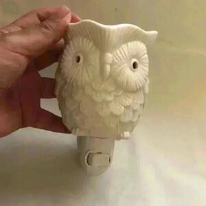 scentsy white owel wax melt  matte